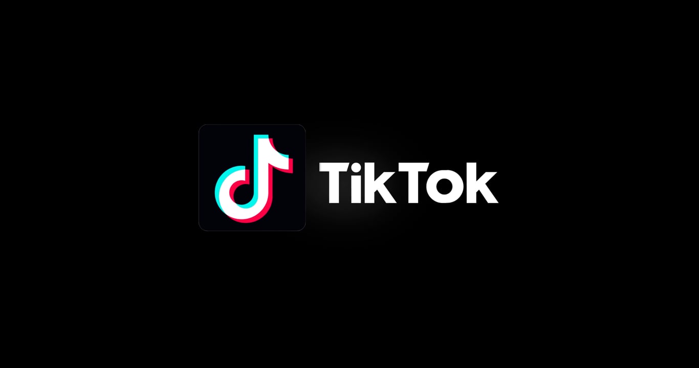 Download TikTok Videos