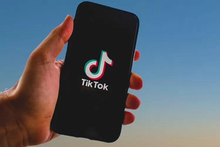 Snaptik
